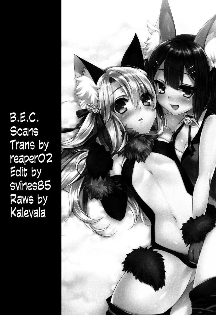 c89-hlz-sanom-mahou-shoujo-no-nichijou-2wei-fatekaleid-liner-prisma-illya-english-bec-scans