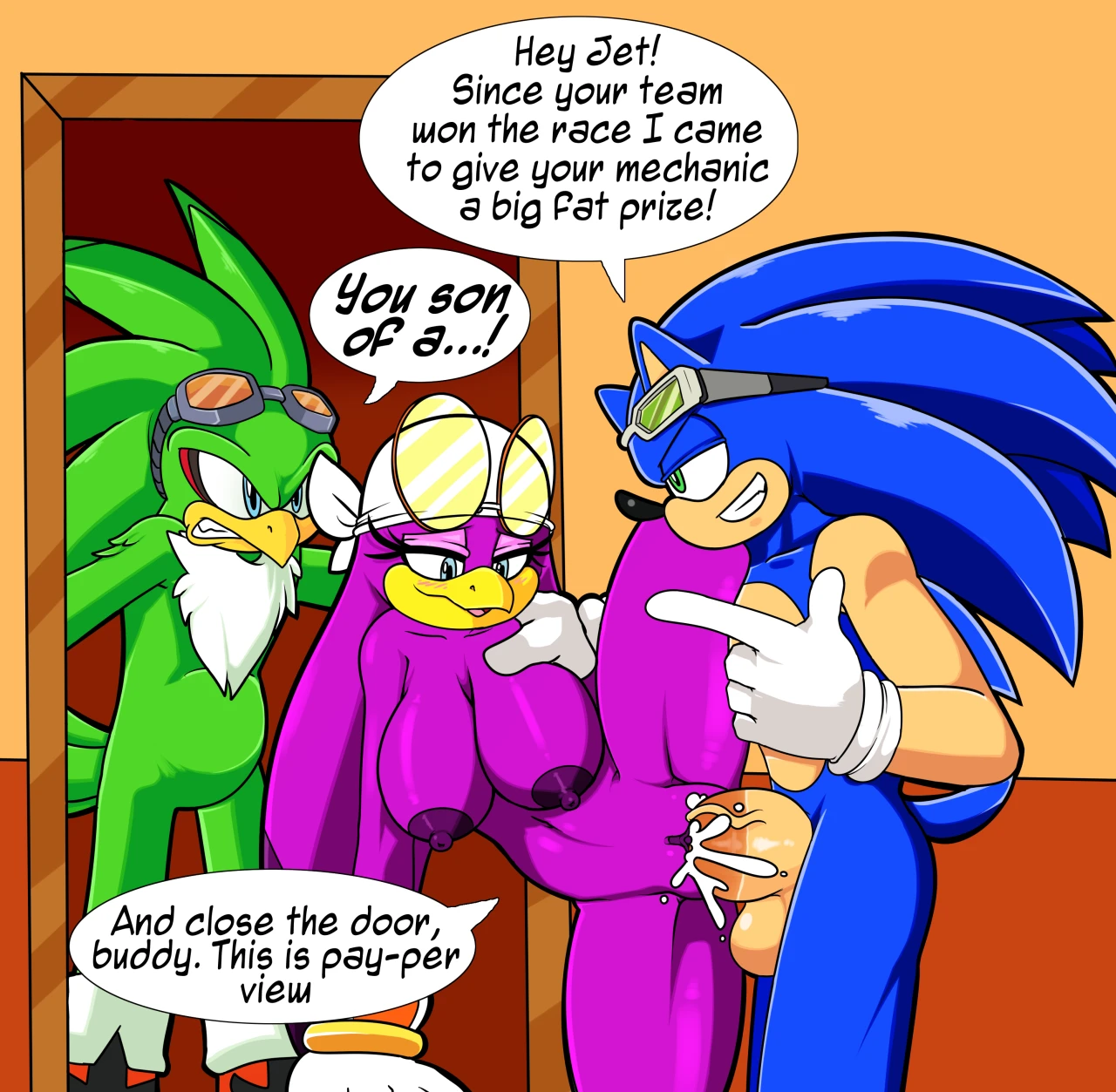 jet-the-hawksonic-the-hedgehogwave-the-swallow