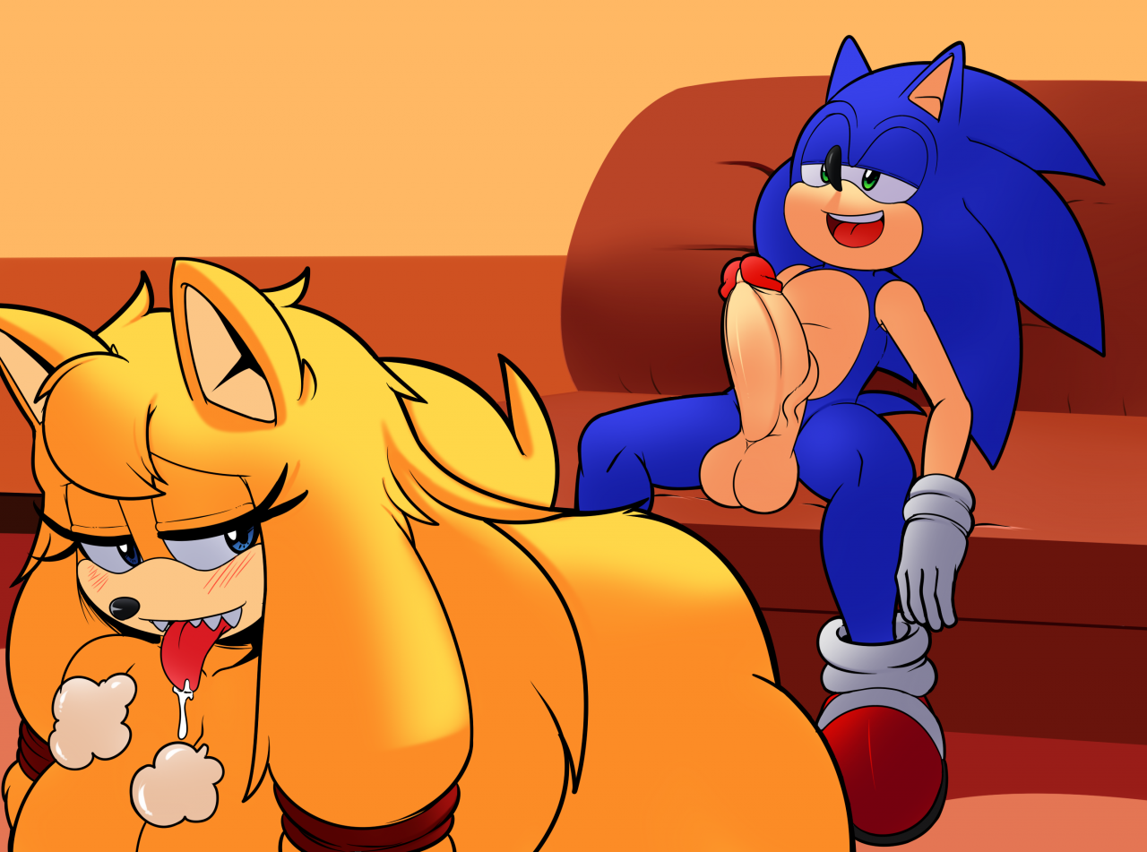 sonic-the-hedgehogzooey-the-fox