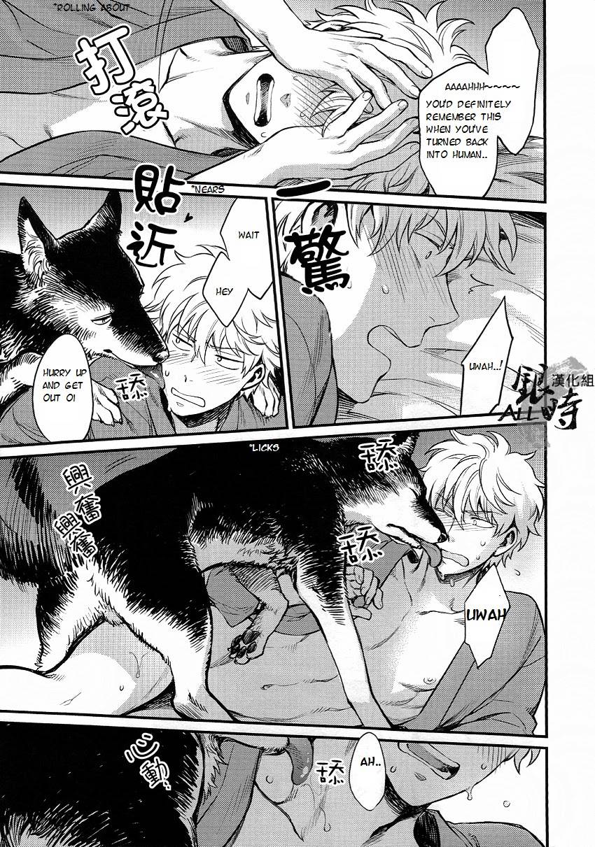 harucc18-3745house-tekkag-mikami-takeru-haru-how-to-spoil-your-dog-gintama-english-valc21