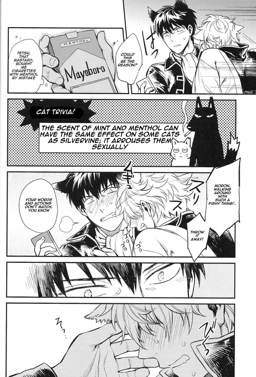 harucc19-3745house-mikami-takeru-like-cat-and-dog-gintama-english