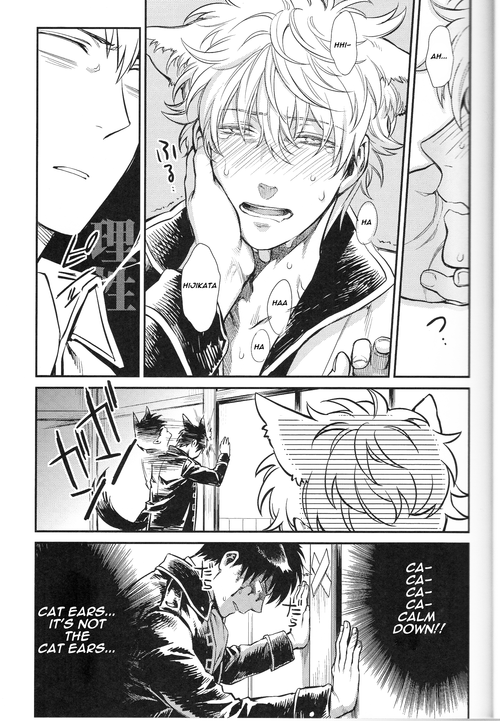 harucc19-3745house-mikami-takeru-like-cat-and-dog-gintama-english