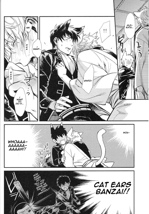 harucc19-3745house-mikami-takeru-like-cat-and-dog-gintama-english