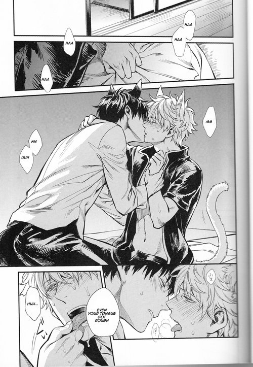 harucc19-3745house-mikami-takeru-like-cat-and-dog-gintama-english
