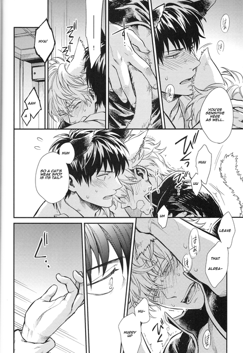 harucc19-3745house-mikami-takeru-like-cat-and-dog-gintama-english