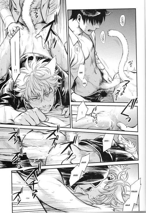harucc19-3745house-mikami-takeru-like-cat-and-dog-gintama-english