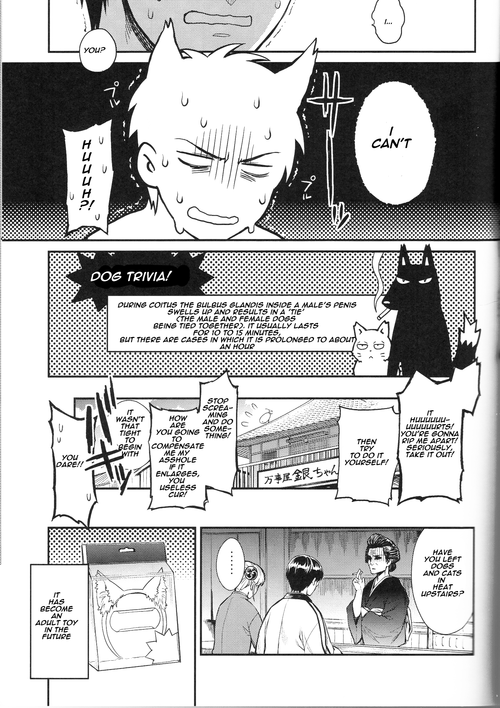 harucc19-3745house-mikami-takeru-like-cat-and-dog-gintama-english