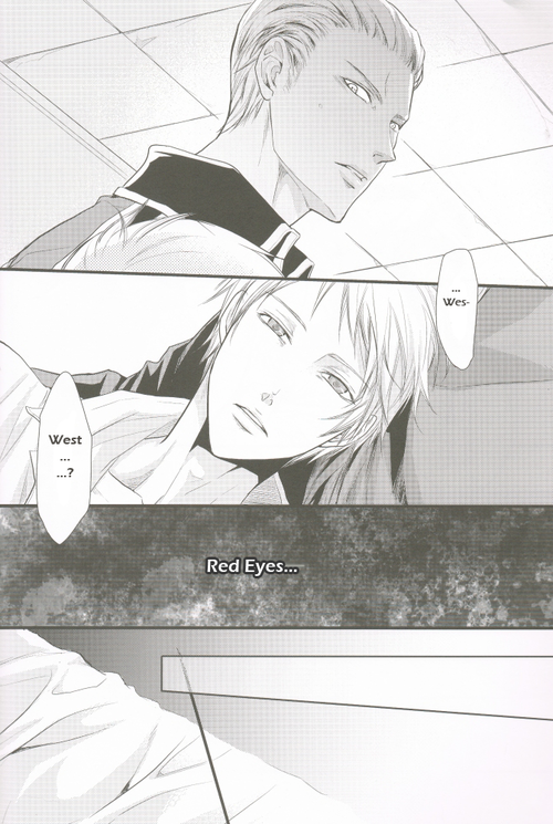 sekai-kaigi-2-fizzcode-satoh-nishiki-anotherdark-axis-powers-hetalia-english