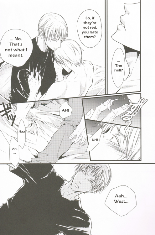 sekai-kaigi-2-fizzcode-satoh-nishiki-anotherdark-axis-powers-hetalia-english