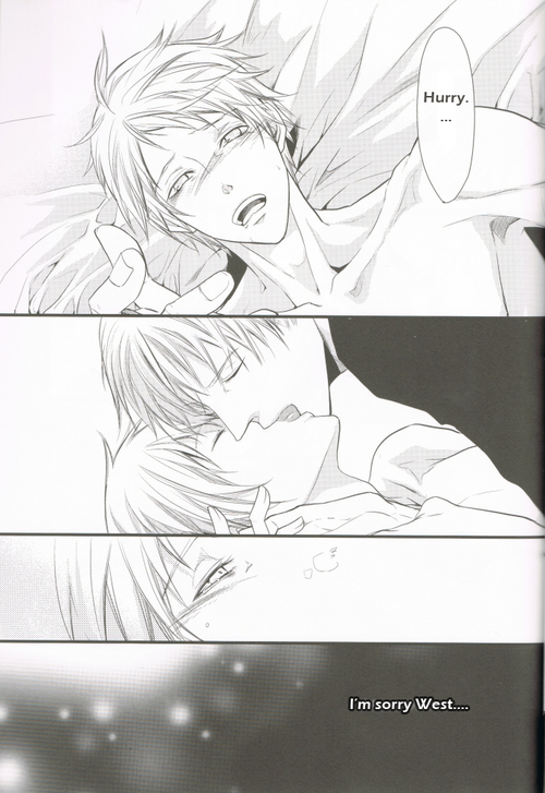 sekai-kaigi-2-fizzcode-satoh-nishiki-anotherdark-axis-powers-hetalia-english