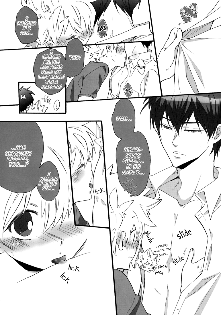 7-men-zippo-kamishima-akira-nounai-sepuri-mind-supplement-katekyo-hitman-reborn-english-lady-phantomhive