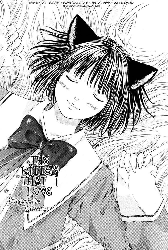 anthology-mimi-paradise-vol-1-english
