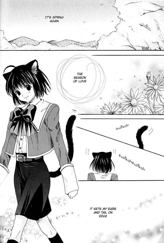 anthology-mimi-paradise-vol-1-english