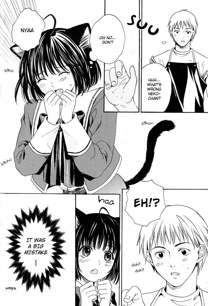 anthology-mimi-paradise-vol-1-english