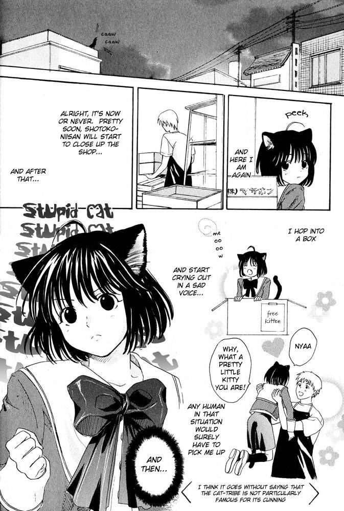 anthology-mimi-paradise-vol-1-english