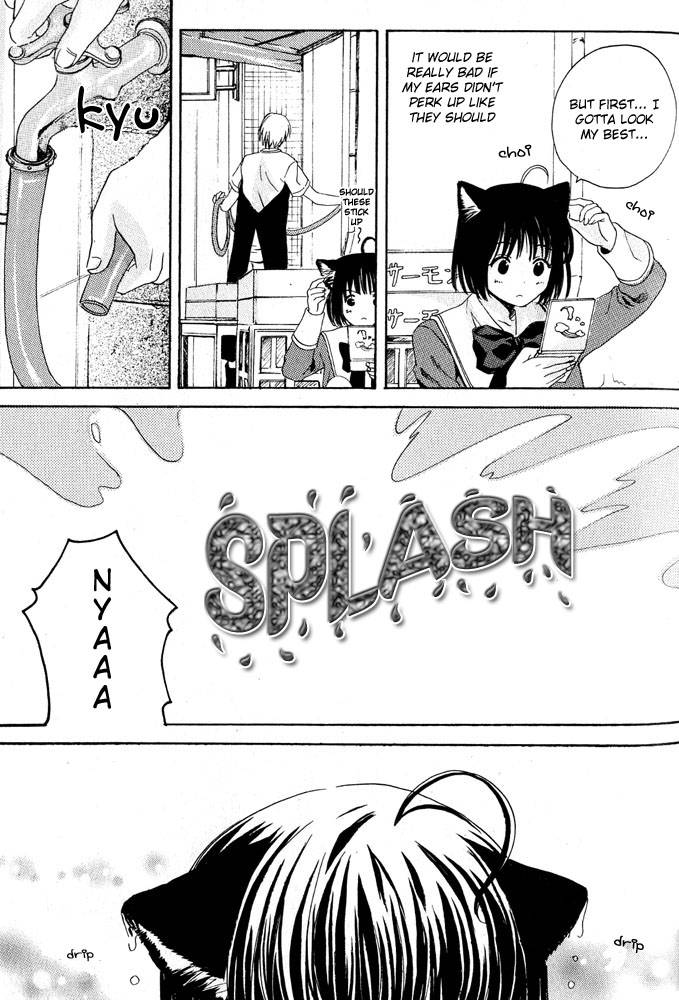 anthology-mimi-paradise-vol-1-english