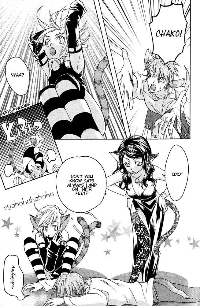 anthology-mimi-paradise-vol-1-english