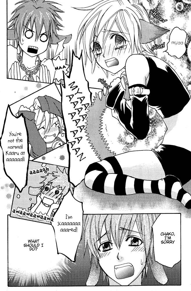 anthology-mimi-paradise-vol-1-english