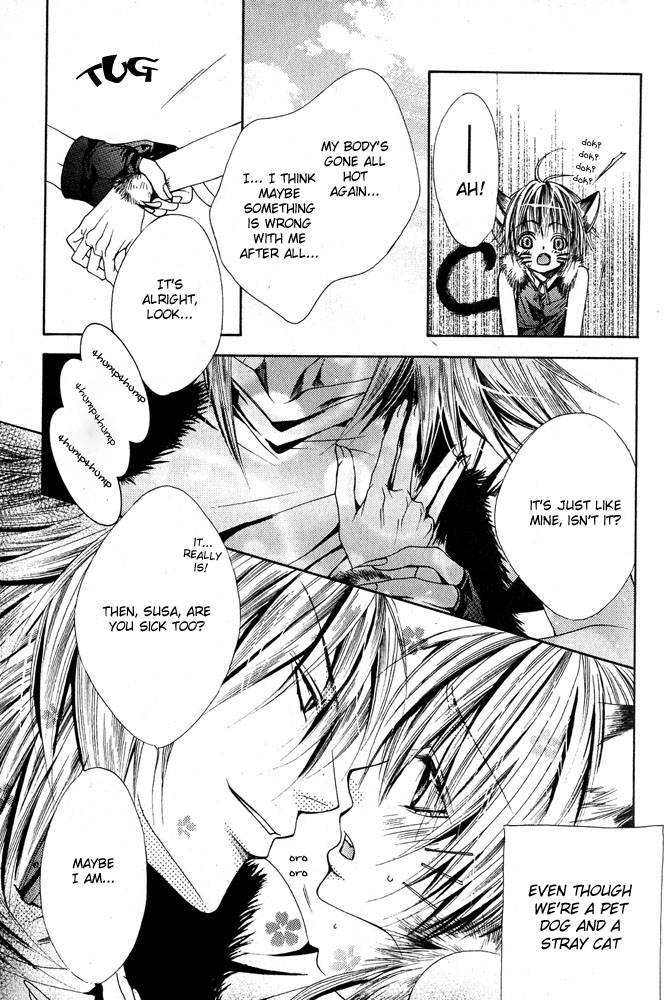 anthology-mimi-paradise-vol-1-english