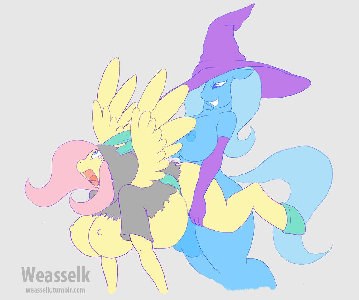 fluttershy-mlptrixie-mlp