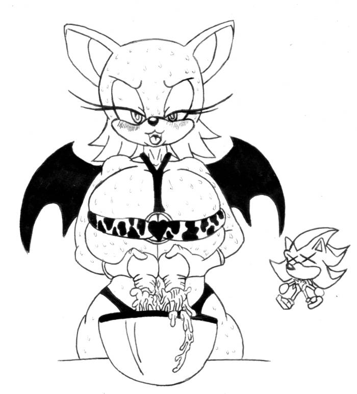 rouge-the-batshadow-the-hedgehog
