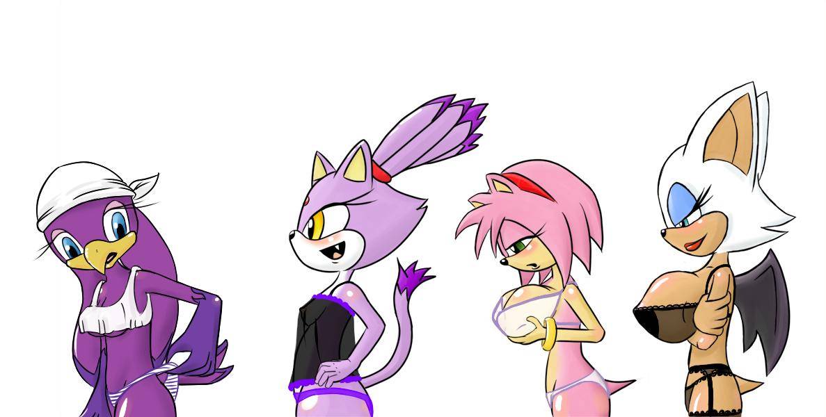 amy rose+blaze the cat+rouge the bat+wave the swallow.