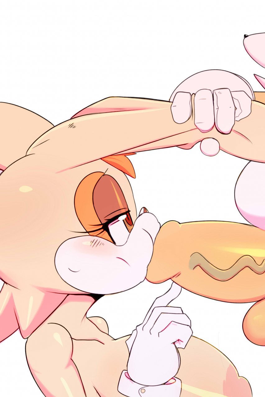 tailsvanilla-the-rabbit