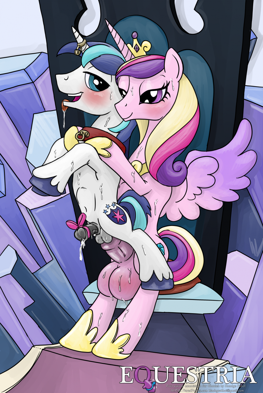 princess-cadance-mlpshining-armor-mlp