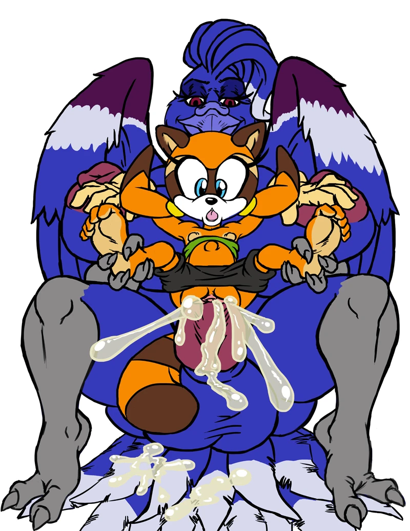 marine-the-raccoon