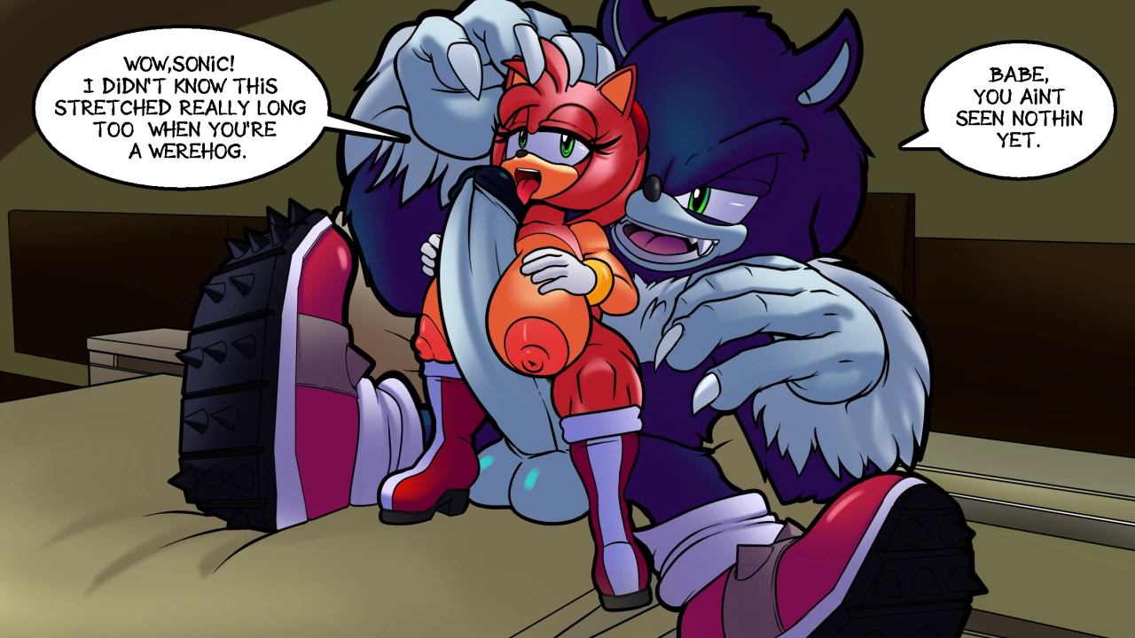 amy-rosesonic-the-hedgehogsonic-the-werehog