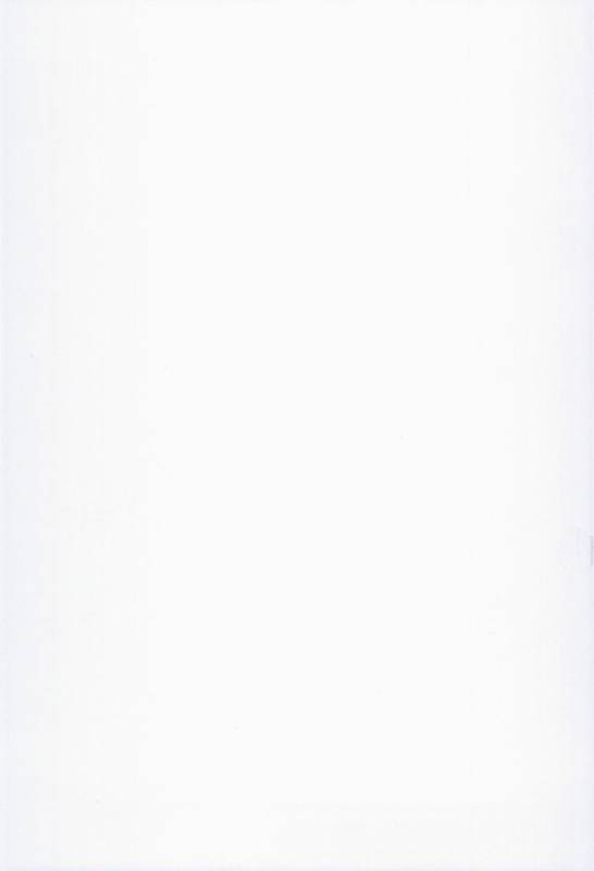 (C86) [Molotov Cocktail (Oowada Tomari)] Blade Blade VI (Queen's Blade) [English] [SaHa]_33