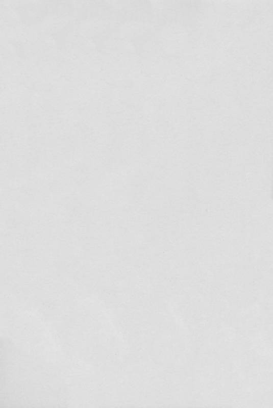 (C88) [my pace world (Kabocha Torte)] Yoiyami ni Nureru Hana (Pokémon Black and White) [English] [EHC_01