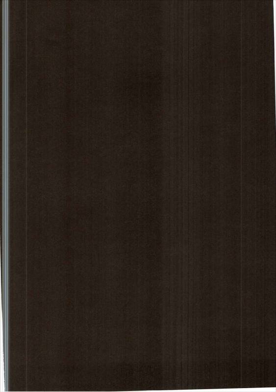 (C90) [e☆ALI-aL! (Ariesu Watanabe)] Andira Shiru  Andira Juice (Granblue Fantasy) [English] {atomicpu_02