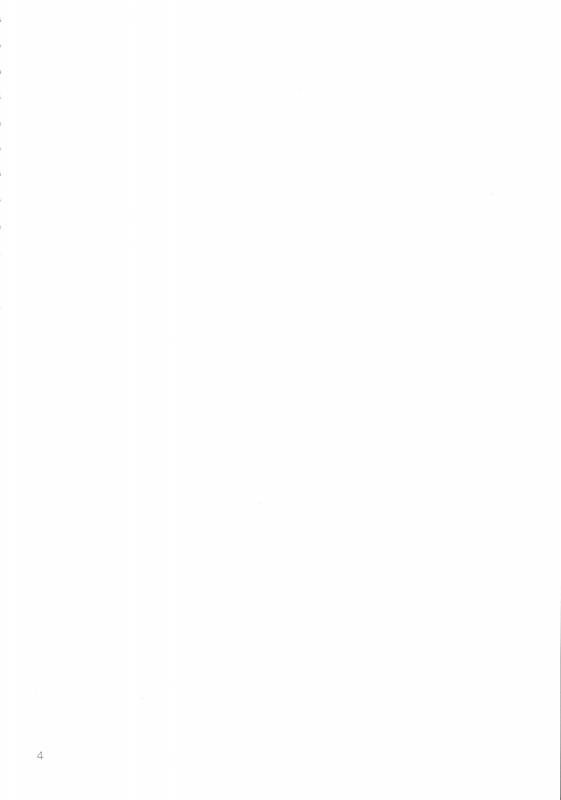 (C91) [Digital Accel Works (INAZUMA)] Mirage Attack! (Macross Delta) [English] {darknight}_02