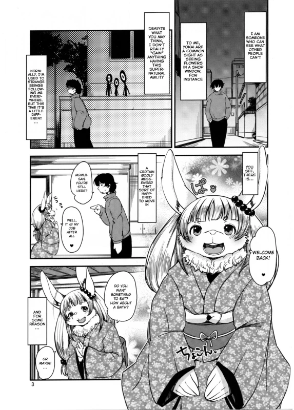 (C91) [Noraya (Setouchi Kurage)] Mononoke Yome 4 [English] [BSN]_01