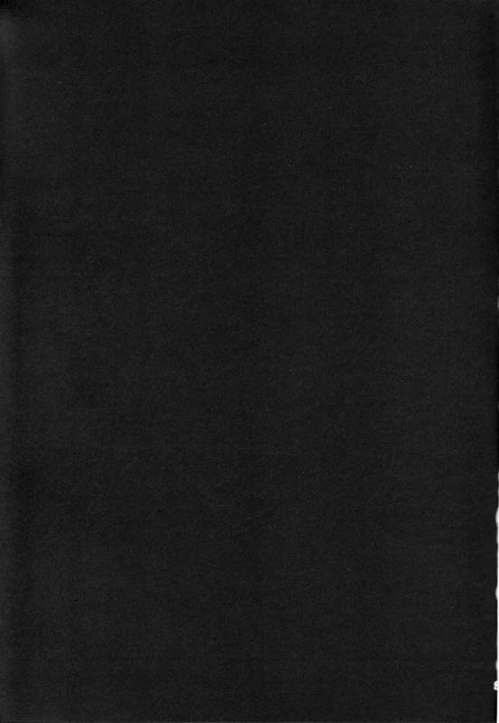 (C91) [Tomato Namaashi (Satou Iori)] Moshi _19