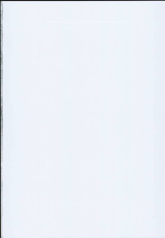 (C93) [Armament Calcium (Take Calcium)] Majo Kyousei Chijo (Touhou Project) [English] [Translato_01