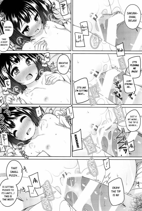 (COMITIA120) [kuma-puro (Shouji Ayumu)] Shokaya no Doujotachi ~Sakur_16