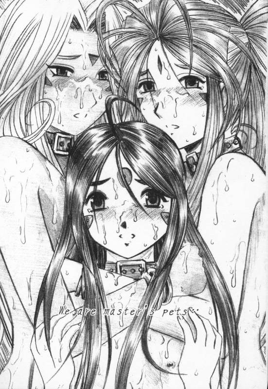 (CR37) [Studio Wallaby (Haruhonya)] Ah! Megami-sama ga Pet  Ah! Goddess is a Pet  (Ah! My G_01