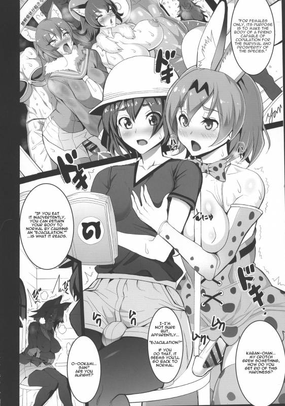 (Futaket 13) [Circle Sigma (Awamori Ichitarou)] Yabanna Friends (Kemono Friends) [English]_03