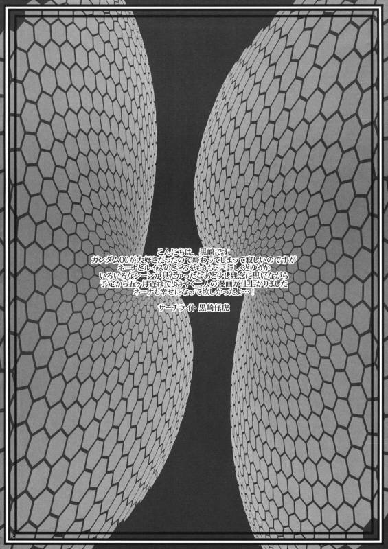 (Futaket 5) [Search-Light (Kurosaki Kotora)] CatFight Infinity (Kidou Senshi Gundam 00) [English]_02