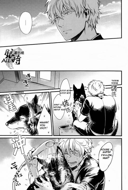 (HaruCC18) [3745HOUSE, tekkaG (MIkami Takeru, Haru)] HOW to SPOIL YOUR DOG (Gintama) [English] [valc21]_18
