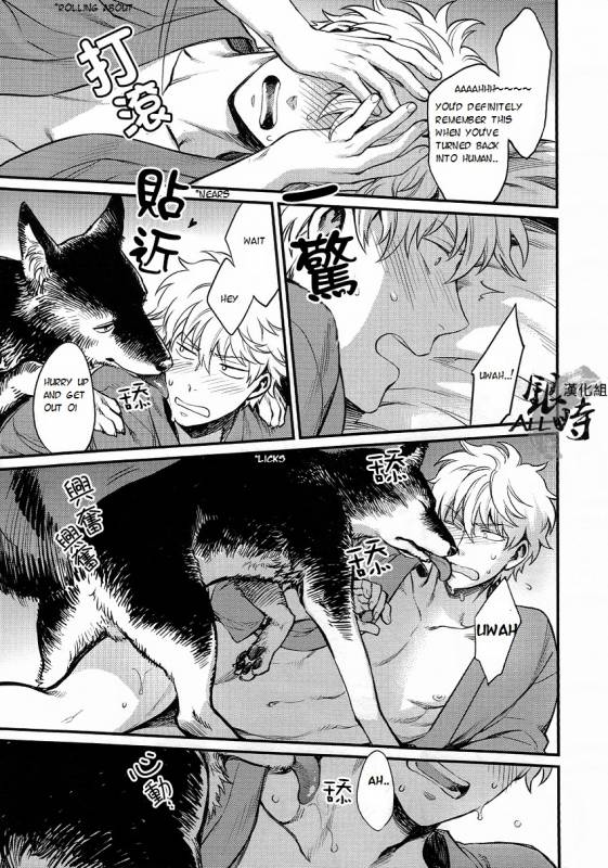 (HaruCC18) [3745HOUSE, tekkaG (MIkami Takeru, Haru)] HOW to SPOIL YOUR DOG (Gintama) [English] [valc21]_24