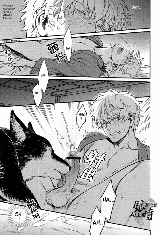 (HaruCC18) [3745HOUSE, tekkaG (MIkami Takeru, Haru)] HOW to SPOIL YOUR DOG (Gintama) [English] [valc21]_26