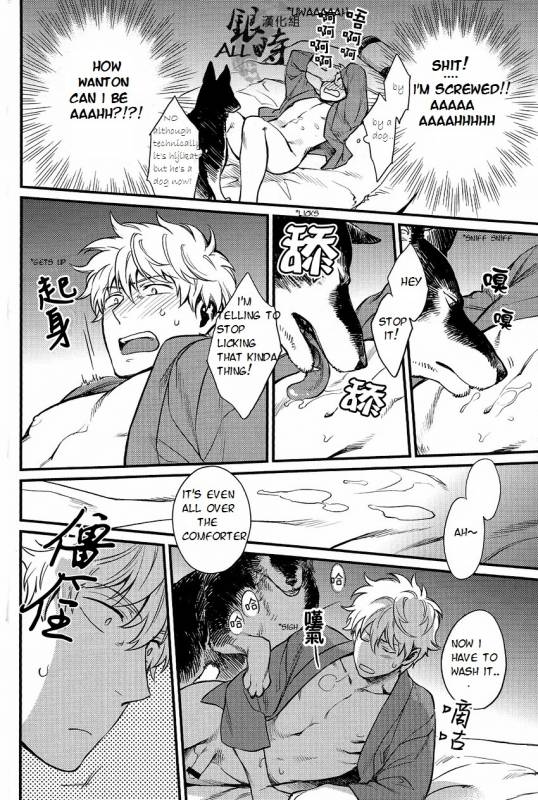 (HaruCC18) [3745HOUSE, tekkaG (MIkami Takeru, Haru)] HOW to SPOIL YOUR DOG (Gintama) [English] [valc21]_27