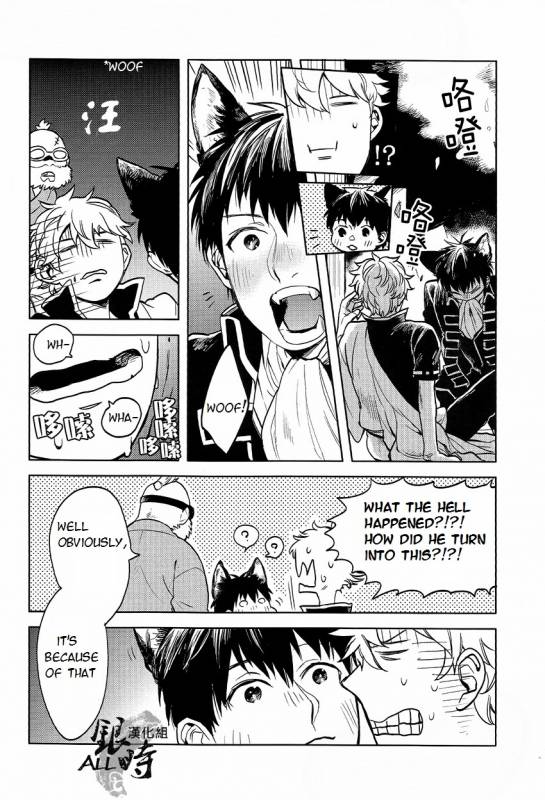 (HaruCC18) [3745HOUSE, tekkaG (MIkami Takeru, Haru)] HOW to SPOIL YOUR DOG (Gintama) [English] [valc21]_41