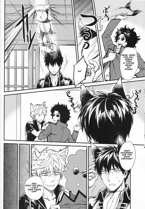 (HaruCC19) [3745HOUSE (MIkami Takeru)] Like cat and dog (Gintama) [English]_08
