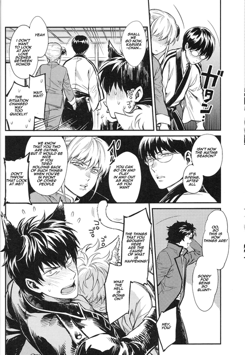 (HaruCC19) [3745HOUSE (MIkami Takeru)] Like cat and dog (Gintama) [English]_12
