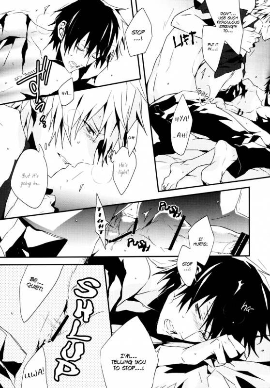 (Ikebukuro Crossroads × 2) [inumog (Fujino Marumo)] Senseless Conflict (Durarara!!) [English]_06