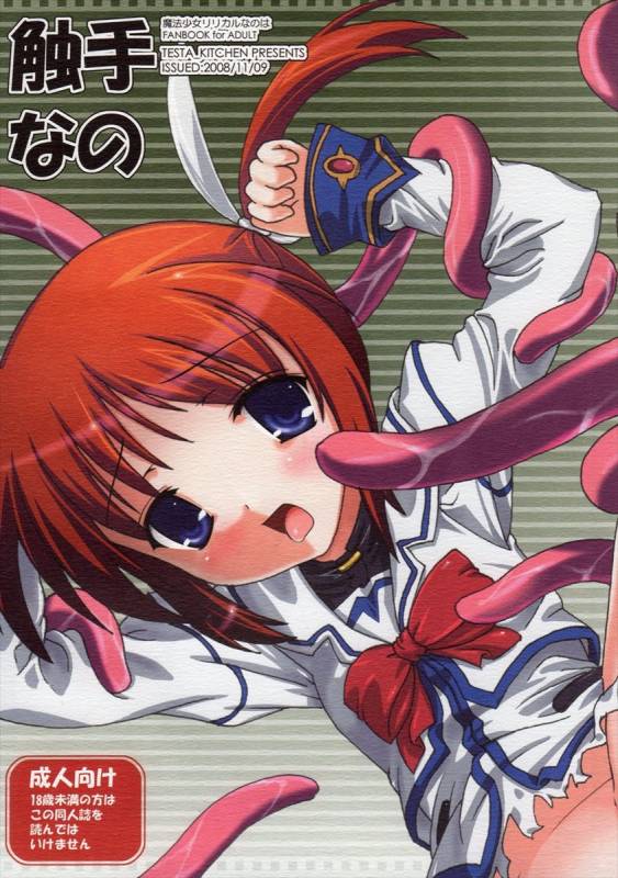 (Lyrical Magical 5) [Testa Kitchen (Testa)] Shokushu Nano (Mahou Shoujo Lyrical Nanoha) [Engli_24
